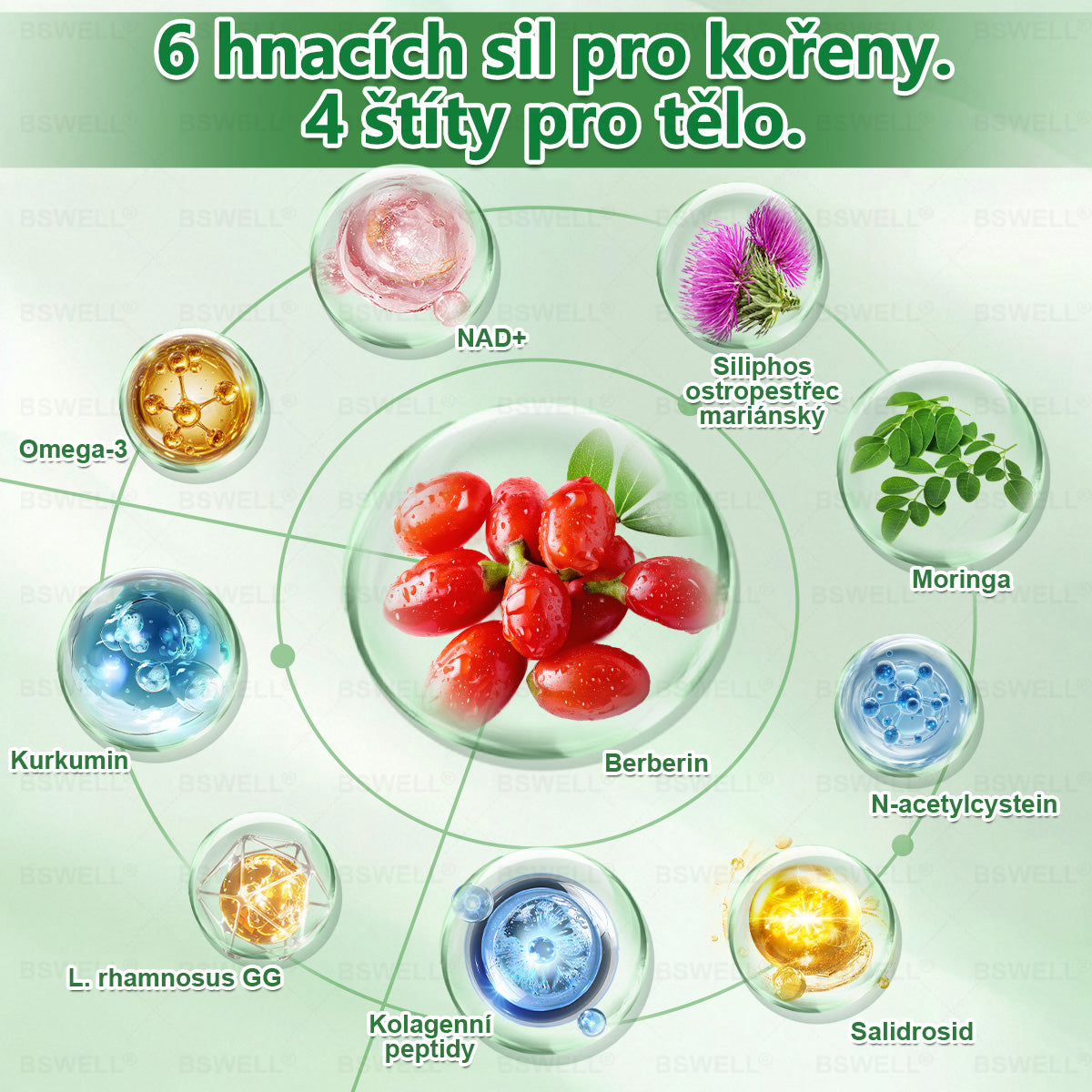 🏆BSWELL® Nano mikrovpichová zeštíhlující náplast✨(Stačí použít pouze jednou denně – viditelné změny již za 28 dní) ✅Bezbolestná, dlouhotrvající, zaměřená na řešení cukrovky, obezity a kardiovaskulárních onemocnění