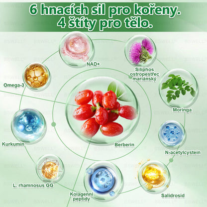 🌿 BSWELL® Nano mikrovpichová zeštíhlující náplast✨(Stačí použít pouze jednou denně – viditelné změny již za 28 dní) ✅Bezbolestná, dlouhotrvající, zaměřená na řešení cukrovky, obezity a kardiovaskulárních onemocnění